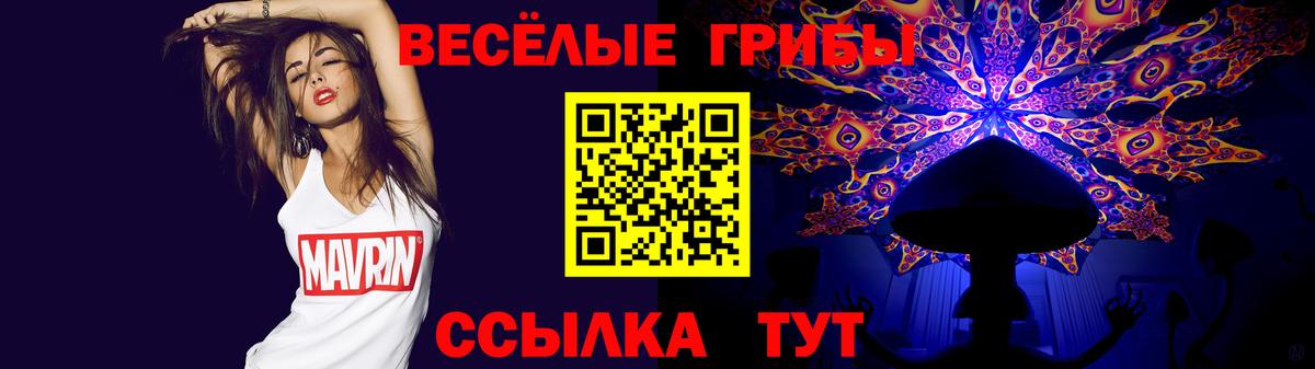 Тимашёвск  Псилоцибиновые грибы мицелий  Вход с VPN 